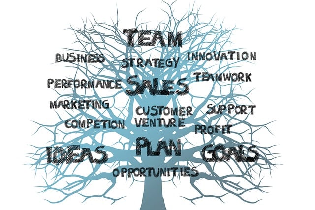 tree, growth, success